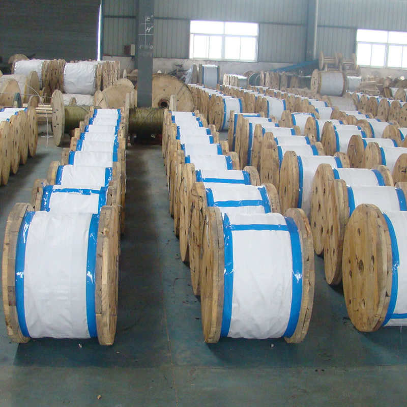 Galvanized Steel Wire in Z2 Packing