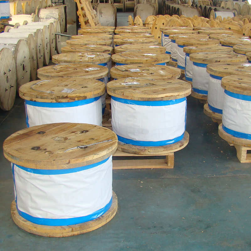 Galvanized Steel Wire in Z2 Packing